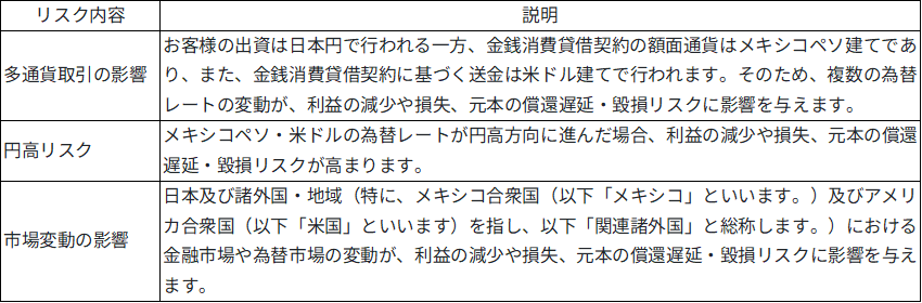 本ファンド特有のリスク画像