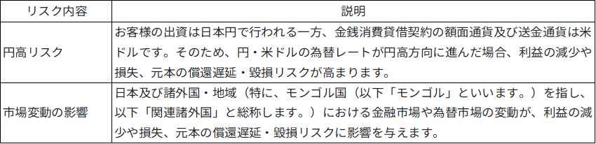本ファンド特有のリスク画像